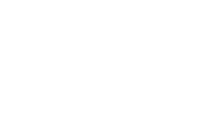AWS-Icon_W
